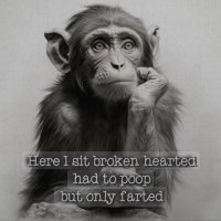 Monkey fart club (@monkeyfartclub) 's Twitter Profile Photo Monkey fart club (@monkeyfartclub) 's Twitter Profile Photo