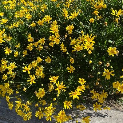 na11032000's profile picture. 