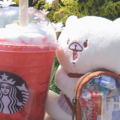 ただのさんのプロフィール画像