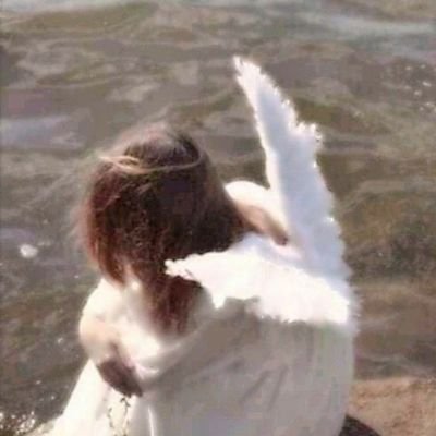 PlzLuvAveri's profile picture. ~averi🕊(she/her) evil leftist☭----------------------
Please feel inclined to msg me