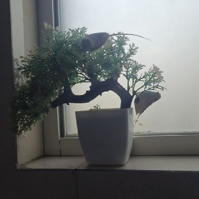 AkshatMittal1's profile picture. Semiconductor and tech enthusiast, proud son, proud Indian