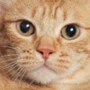 MulThn80608's profile picture. 🫰🏻🫴🏻🫶🏻🤟🏻 รักเด็กตึกฟ้าย่านอโศก ชั้น30 💙🩵