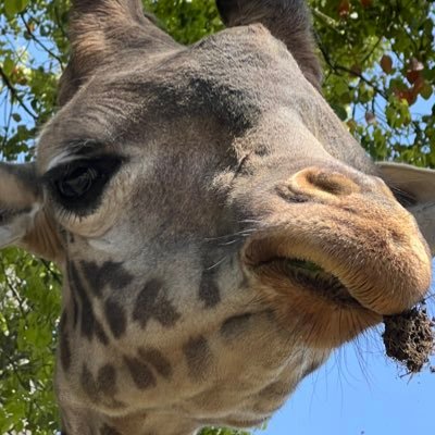 moneycharm8's profile picture. 信じれば救われる