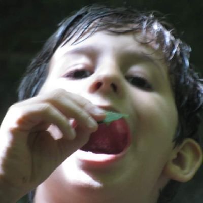 tudologo formado pela unicu, ex-integrante da banda vitoria régia, fã do relâmpago mcqueen, sommelier de brahma litrão e namorado da bruna