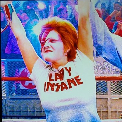 Literary non-hottie | they/them | 'insane... The mind untethered from decency and manners'-@theshaneblep