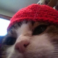 Hexen (@hexenhxn) 's Twitter Profile
