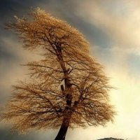 Vasyl (@vas22141742) 's Twitter Profile