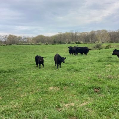 ErikMeier7's profile picture. 