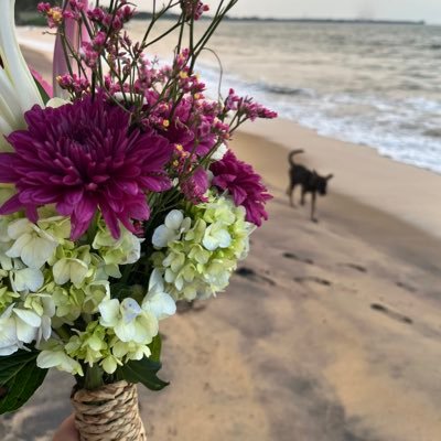 0726nagi3's profile picture. カーダシアンと海外リアリティーショーが大好物🤤FOLLOW ME♡ ❤️🇯🇵❤️#KardashianFamily ❤️ #Grime 🇬🇧 #Lanadelrey #latin  #海外ドラマ   好きな食べ物は #サムギョプサル そして万年ダイエッターになる
https://t.co/VMGpekk5MR