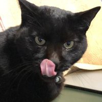 たむたむ (@power_ondoku) 's Twitter Profile