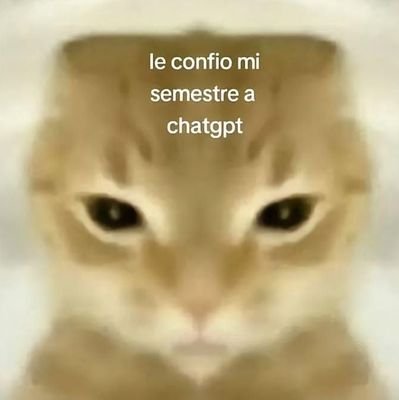 jlozoya_2312's profile picture. 