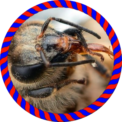 ERIC_COMEHERE's profile picture. 