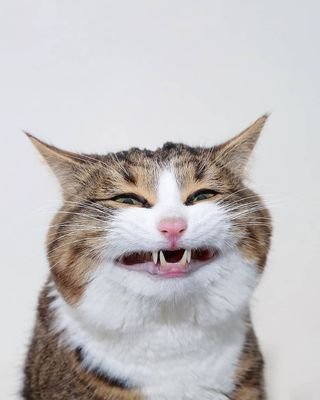 _BabaYag4's profile picture. 