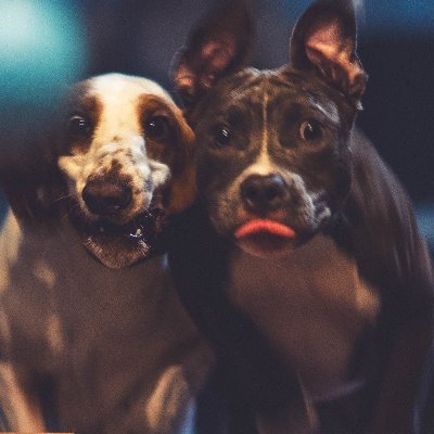 ondlabo's profile picture. ナイトワーカーの映像D×UE5とblender×AI制作
映画とハンバーガーで生きてます
バセピ姉妹と奮闘中