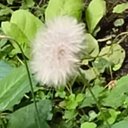 Gaybriel - @EmilHerrera2015 - Twitter