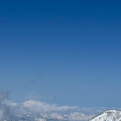 shokun_1111's profile picture. 