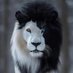tgier (@ptigerq) Twitter profile photo tgier (@ptigerq) Twitter profile photo