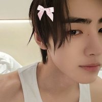 nau ‧˚ೀ⋆。🌷 (@hoonk1luvr) 's Twitter Profile