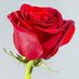Abo . Abdulla (@abh_abh123) Twitter profile photo Abo . Abdulla (@abh_abh123) Twitter profile photo