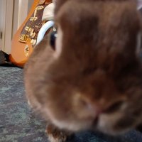 SZKM7 (@szkm770402) 's Twitter Profile Photo SZKM7 (@szkm770402) 's Twitter Profile Photo