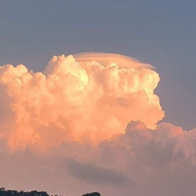 aulookingforme's profile picture. 