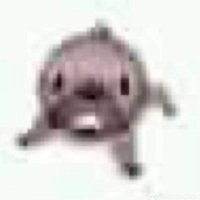 Lxmwii (@lambiw_) 's Twitter Profile Photo Lxmwii (@lambiw_) 's Twitter Profile Photo