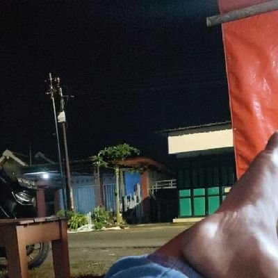 lightaudio01's profile picture. 