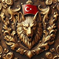 Tuğtekin Börü. (Şân değil VATAN delisi) (@tugtekinb94763) 's Twitter Profile