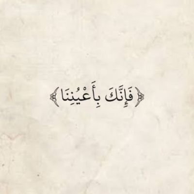 95ibs's profile picture. 