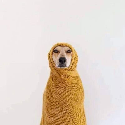 slave_toysm's profile picture. #popperbate #goon #piss #outdoor #slave #nippleplay #some