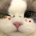 xoxona🐈⬛ (@xoxona123) Twitter profile photo xoxona🐈⬛ (@xoxona123) Twitter profile photo