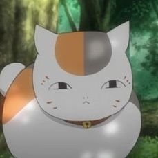 UEMEさんのプロフィール画像