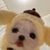 ⭐️☀️ (@dzrz43) Twitter profile photo ⭐️☀️ (@dzrz43) Twitter profile photo