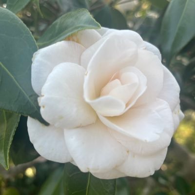 sky_owl_'s profile picture. 高一/演劇部の演出やってます。高校入ってから演劇始めました