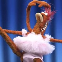 Mindy 🦩 (@mdb377) 's Twitter Profile