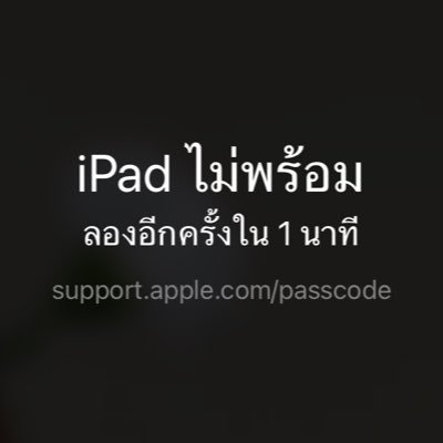 แม๋วม๋าว(rest)