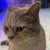 Emoş (@em1b289795) Twitter profile photo Emoş (@em1b289795) Twitter profile photo
