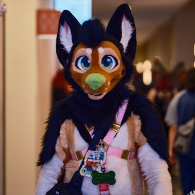 Chuckles Shep -⃝⃤さんのプロフィール画像