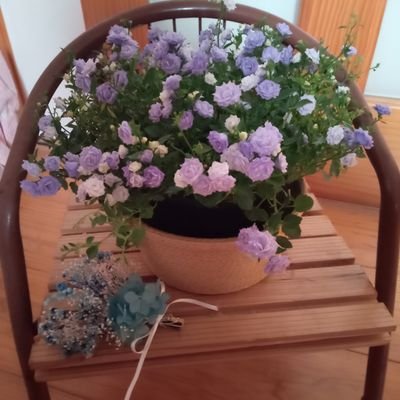 iUYcr06qCd76045's profile picture. ♡神様|家族♡森|虹|温泉|湧水|鳥の声|木の家|あんこ|韓ドラ&朝ドラ|リメイク♡幼稚園教諭|保育士|コーチング|着物着付♡家庭連合50代主婦「超宗教」「恩讐を愛する」「one family under God」♡無言ﾌｫﾛｰ失礼します♡DM返信できません