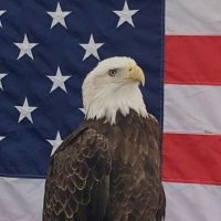 James Richards (@jamesricha38914) 's Twitter Profile
