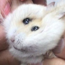 ちるたそさんのプロフィール画像