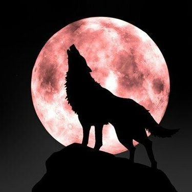 自从接触了中本聪采矿我才步入空投领域，很多人都给我说世上没有免费的午餐，可是我用我执着的心态坚持了下来直到CORE提币流通我的内心非常激动，也非常感谢我的推荐人给我这么好的消息，也非常感谢自己不顾众亲友的反对坚持了下来，我给我的那些亲友们衷心的说一声、世上真有免费的午餐！我坚信CORE的前途无量，酷友们加油！