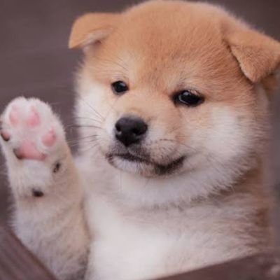 祝フォロワー2000人ありがとう!!🎉㊗️
これからもできる限りの最速を意識して返します!! 3000目標なのでおねがします!!
#フォロバ100
#フォロバ100絶対
#フォローした人全員フォロバする
#フォロバ100変な垢意外
#いいねした人全員フォロー
#相互フォロー100
#ふぉろば100