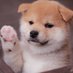 ã¿ã
ã@çžäºãã©ã㌠(@dogl__ove369) Twitter profile photo ã¿ã
ã@çžäºãã©ã㌠(@dogl__ove369) Twitter profile photo