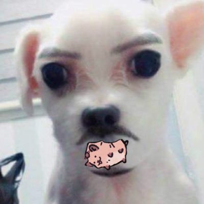 제목: 자네 왔는가 장르: 에로 줄거리: 화음현의 대화산파에 몸을 담고 있는 80대 매화검존의 실력이 장난 아니라는 소문이 퍼지며 사천당가의 암존이 찾아온다. 하루에 30번 넘게 찾아와도 매화검존은 덤덤히 자네 왔는가로 시작해 암존에게 주먹과 도파민을 선사하는데..