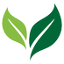 Quick Health Guides (@qhealthguides) Twitter profile photo