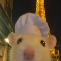 Multijem (@multijem) 's Twitter Profile