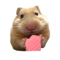 ふちゃま (@fujiko_mofu) 's Twitter Profile Photo