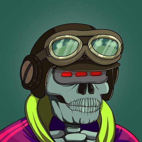 teo7xyz's profile picture. Humanitarian Volunteer ◻️ Wildlife conservationist 🦓 📈 Circuit wizard