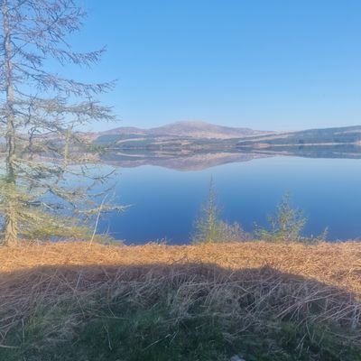 markyboy6336's profile picture. I am who I am for me